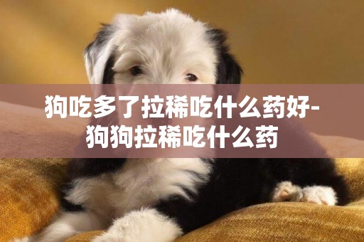 狗吃多了拉稀吃什么药好-狗狗拉稀吃什么药