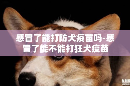 感冒了能打防犬疫苗吗-感冒了能不能打狂犬疫苗