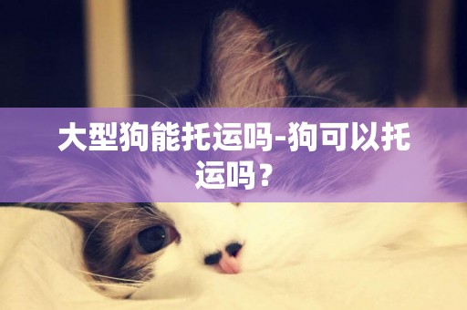 大型狗能托运吗-狗可以托运吗？