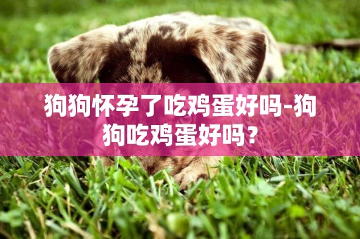 狗狗怀孕了吃鸡蛋好吗-狗狗吃鸡蛋好吗？