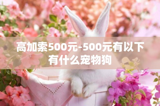 高加索500元-500元有以下有什么宠物狗