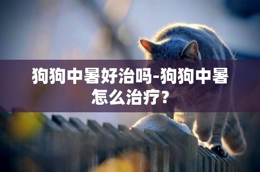 狗狗中暑好治吗-狗狗中暑怎么治疗？