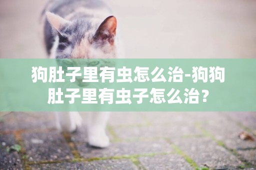 狗肚子里有虫怎么治-狗狗肚子里有虫子怎么治？