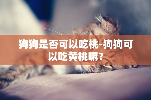 狗狗是否可以吃桃-狗狗可以吃黄桃嘛？