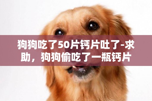 狗狗吃了50片钙片吐了-求助，狗狗偷吃了一瓶钙片