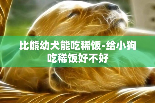 比熊幼犬能吃稀饭-给小狗吃稀饭好不好