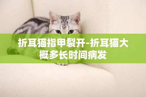 折耳猫指甲裂开-折耳猫大概多长时间病发