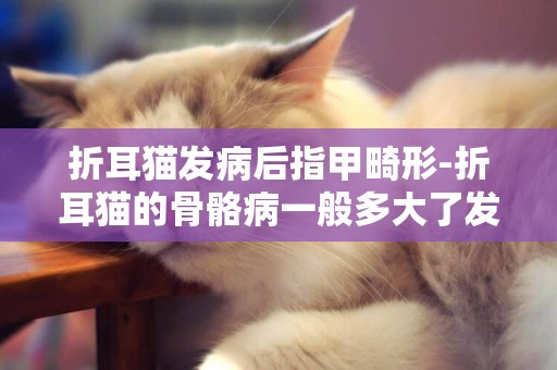 折耳猫发病后指甲畸形-折耳猫的骨骼病一般多大了发病