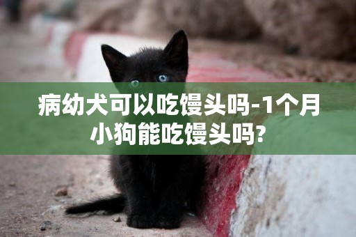 病幼犬可以吃馒头吗-1个月小狗能吃馒头吗?