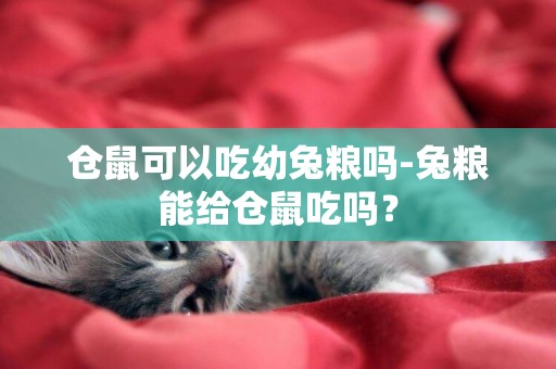 仓鼠可以吃幼兔粮吗-兔粮能给仓鼠吃吗？