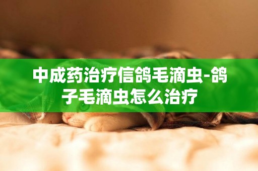 中成药治疗信鸽毛滴虫-鸽子毛滴虫怎么治疗