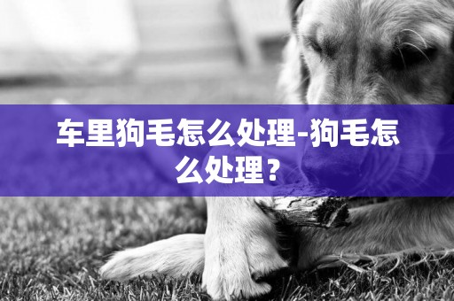 车里狗毛怎么处理-狗毛怎么处理？