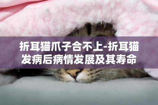 折耳猫爪子合不上-折耳猫发病后病情发展及其寿命