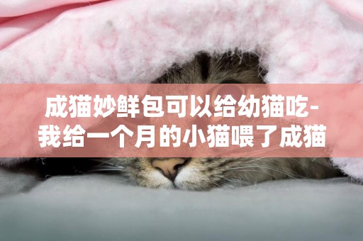 成猫妙鲜包可以给幼猫吃-我给一个月的小猫喂了成猫妙鲜包 不过嚼碎了 会不会有事 需认真回答 专业或有