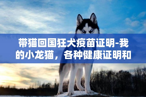 带猫回国狂犬疫苗证明-我的小龙猫，各种健康证明和防疫证明都齐全，回国的时候想带上她，不知道需要特殊的