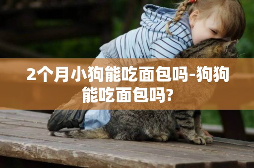 2个月小狗能吃面包吗-狗狗能吃面包吗?