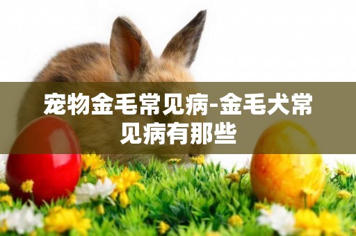 宠物金毛常见病-金毛犬常见病有那些