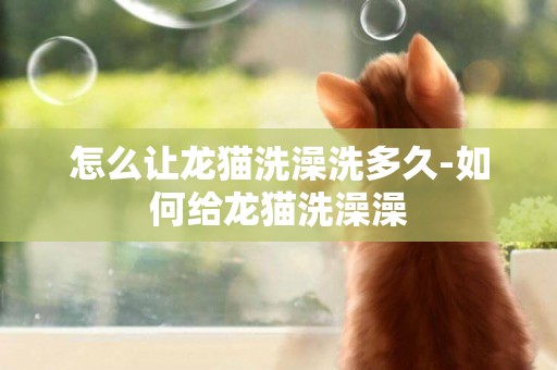 怎么让龙猫洗澡洗多久-如何给龙猫洗澡澡