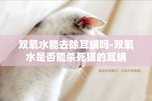 双氧水能去除耳螨吗-双氧水是否能杀死猫的耳螨