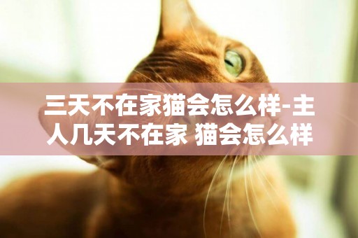 三天不在家猫会怎么样-主人几天不在家 猫会怎么样啊