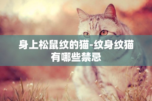 身上松鼠纹的猫-纹身纹猫有哪些禁忌