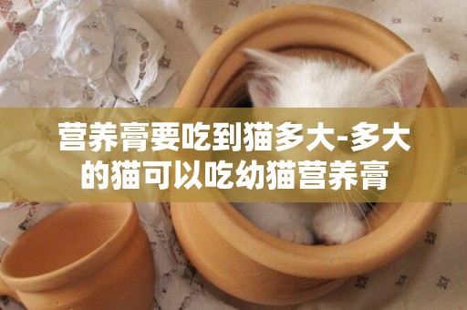 营养膏要吃到猫多大-多大的猫可以吃幼猫营养膏