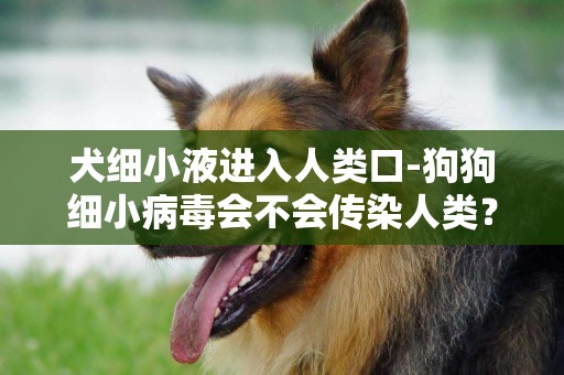 犬细小液进入人类口-狗狗细小病毒会不会传染人类？