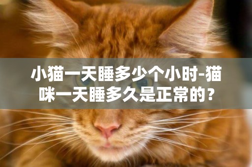 小猫一天睡多少个小时-猫咪一天睡多久是正常的？