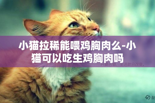 小猫拉稀能喂鸡胸肉么-小猫可以吃生鸡胸肉吗