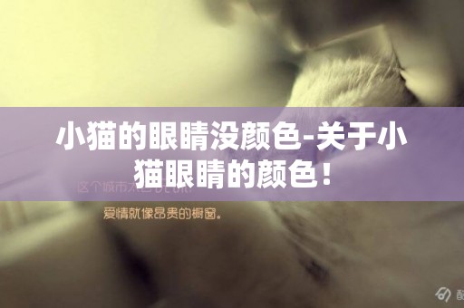 小猫的眼睛没颜色-关于小猫眼睛的颜色！