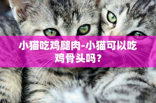 小猫吃鸡腿肉-小猫可以吃鸡骨头吗？