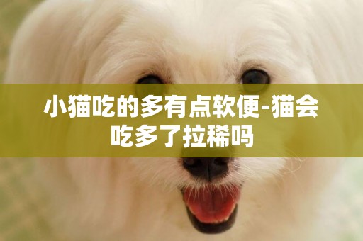 小猫吃的多有点软便-猫会吃多了拉稀吗