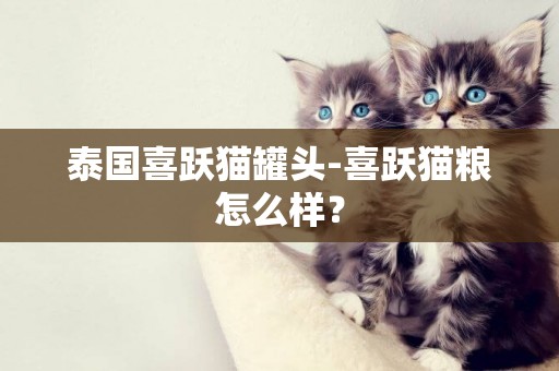 泰国喜跃猫罐头-喜跃猫粮怎么样？