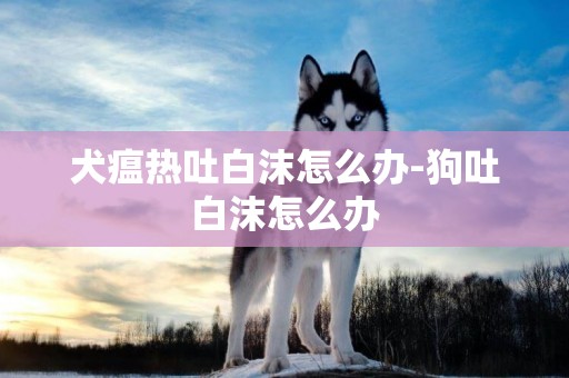 犬瘟热吐白沫怎么办-狗吐白沫怎么办