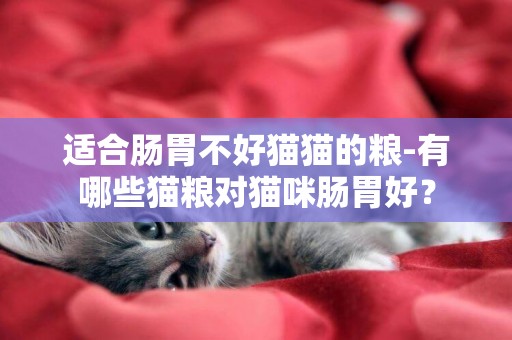 适合肠胃不好猫猫的粮-有哪些猫粮对猫咪肠胃好？