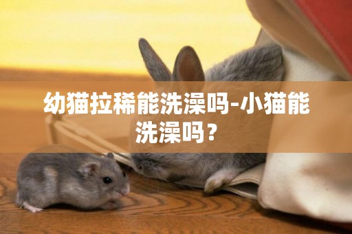 幼猫拉稀能洗澡吗-小猫能洗澡吗？