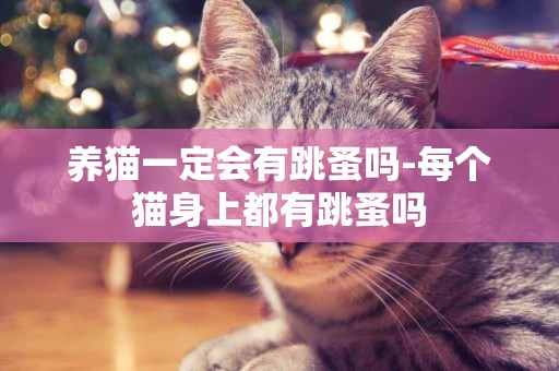 养猫一定会有跳蚤吗-每个猫身上都有跳蚤吗