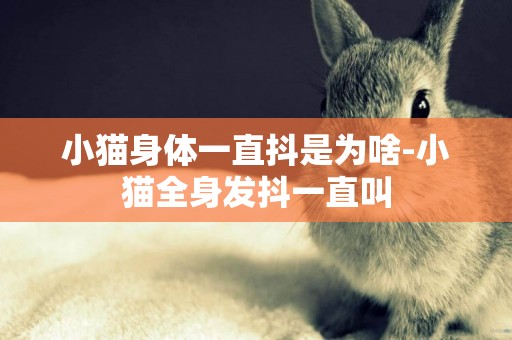 小猫身体一直抖是为啥-小猫全身发抖一直叫