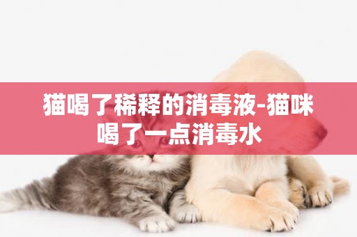 猫喝了稀释的消毒液-猫咪喝了一点消毒水