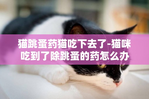 猫跳蚤药猫吃下去了-猫咪吃到了除跳蚤的药怎么办