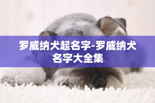 罗威纳犬起名字-罗威纳犬名字大全集