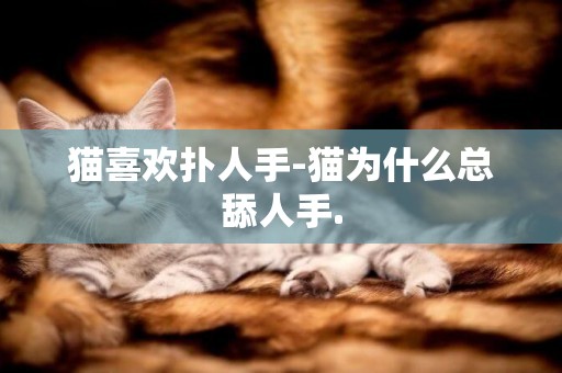 猫喜欢扑人手-猫为什么总舔人手.