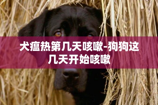 犬瘟热第几天咳嗽-狗狗这几天开始咳嗽