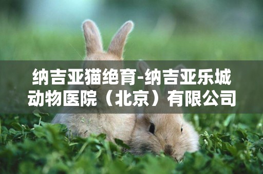 纳吉亚猫绝育-纳吉亚乐城动物医院（北京）有限公司怎么样？