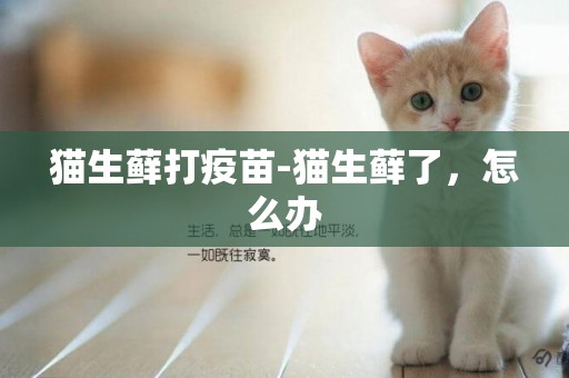 猫生藓打疫苗-猫生藓了，怎么办