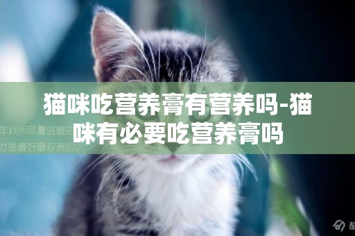 猫咪吃营养膏有营养吗-猫咪有必要吃营养膏吗