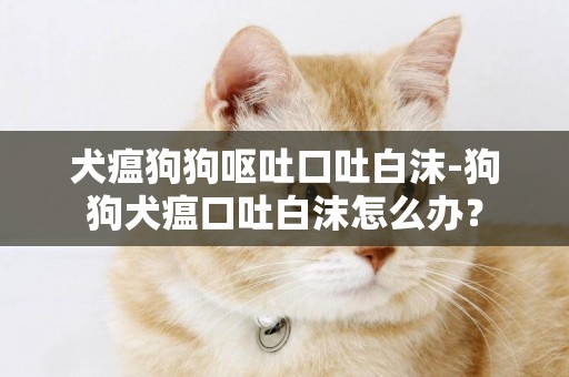 犬瘟狗狗呕吐口吐白沫-狗狗犬瘟口吐白沫怎么办？