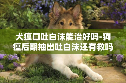 犬瘟口吐白沫能治好吗-狗瘟后期抽出吐白沫还有救吗？