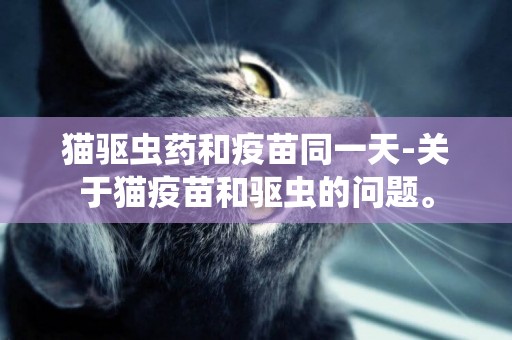 猫驱虫药和疫苗同一天-关于猫疫苗和驱虫的问题。