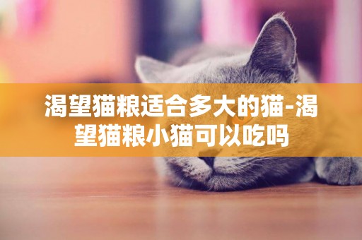 渴望猫粮适合多大的猫-渴望猫粮小猫可以吃吗